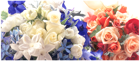 ウエディングカラー＆イメージコンサルティング